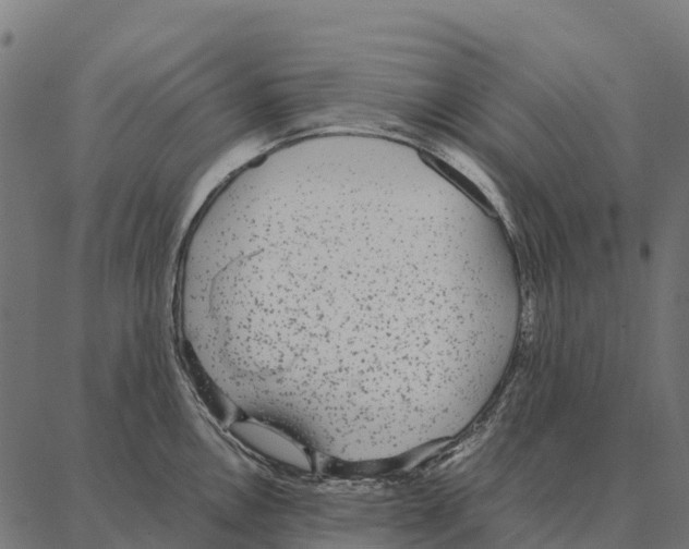 X0000087321146200705181004