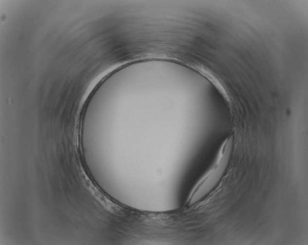 X0000087321148200705181004