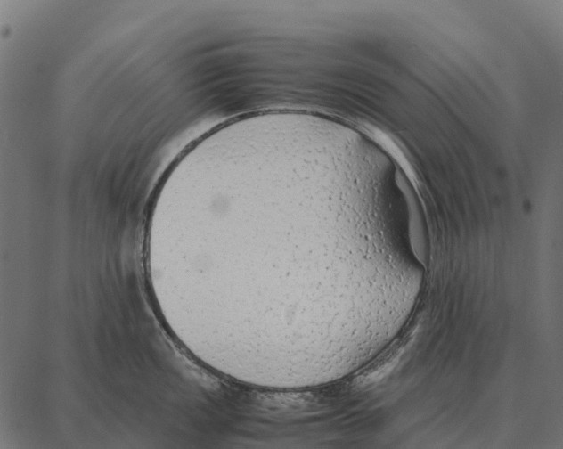 X0000087321149200705181005