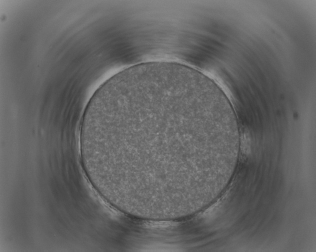 X0000087321150200705181005