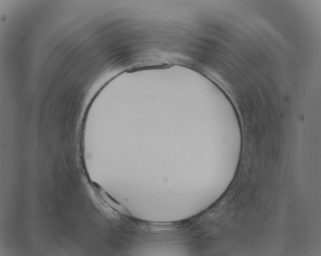 X0000087321152200705181005