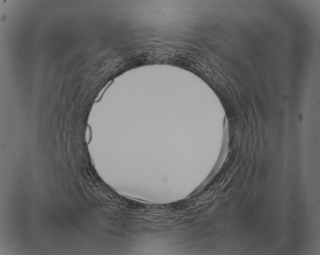 X0000087321153200705181004