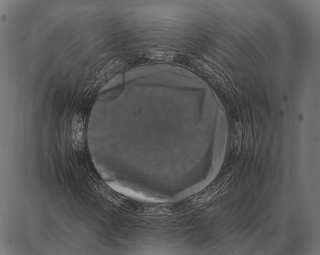 X0000087321154200705181004