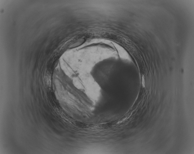 X0000087321155200705181004