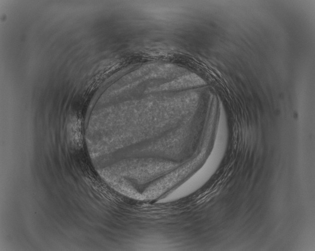 X0000087321156200705181004