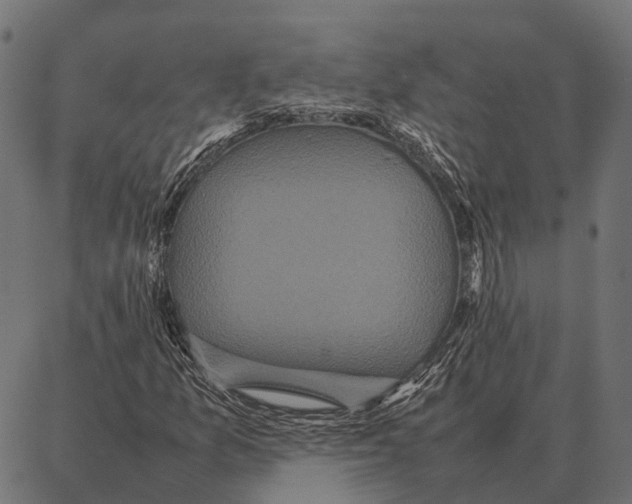 X0000087321157200705181004