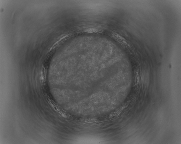 X0000087321158200705181004