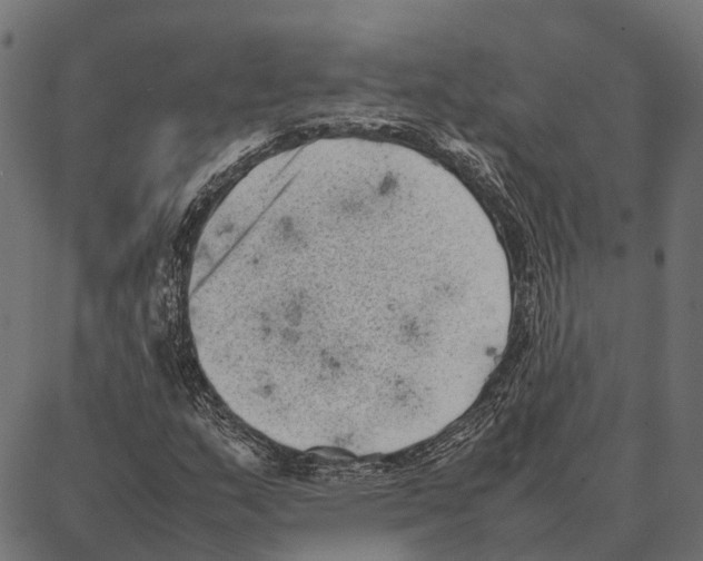 X0000087321159200705181004