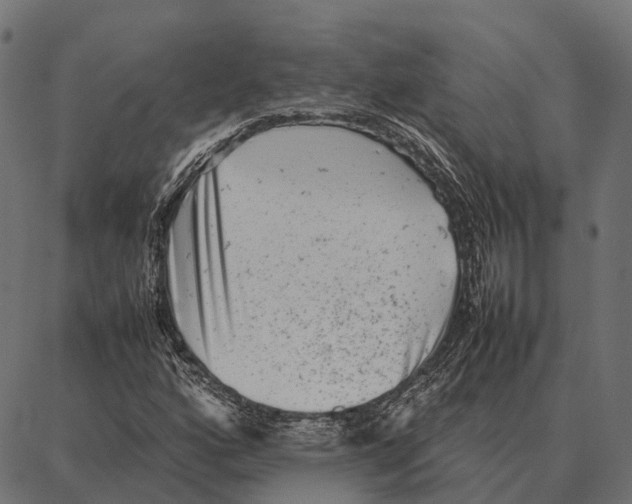 X0000087321160200705181004