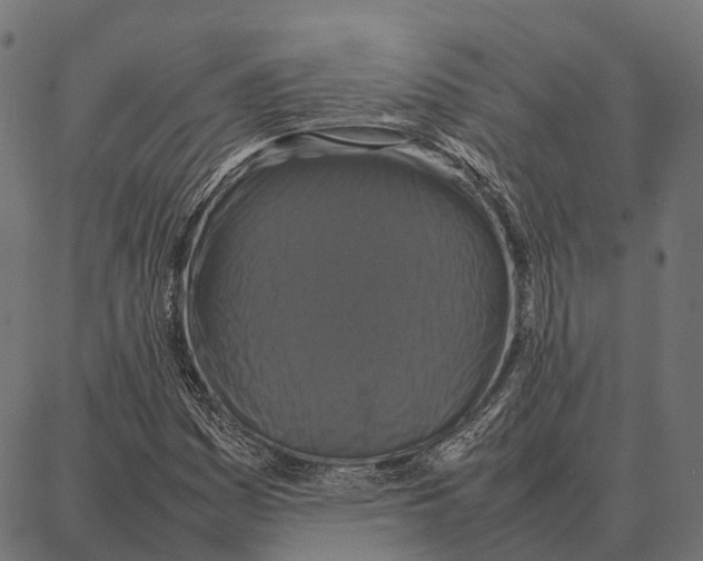 X0000087321161200705181004