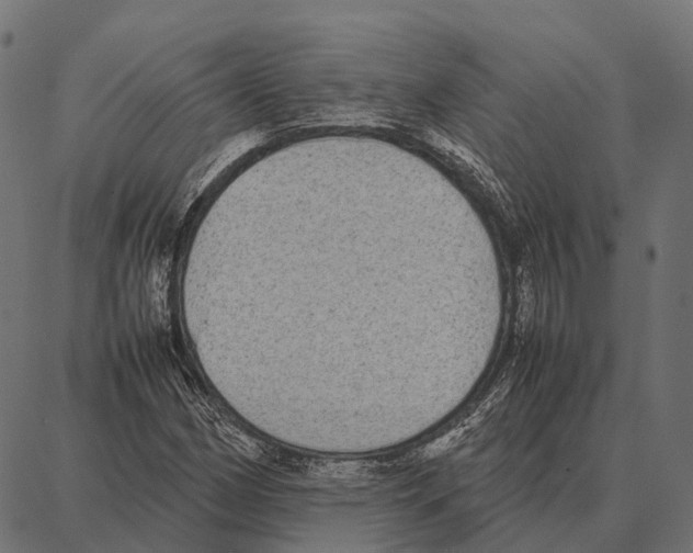 X0000087321162200705181004