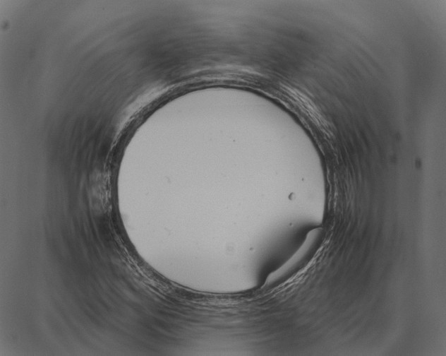 X0000087321164200705181004