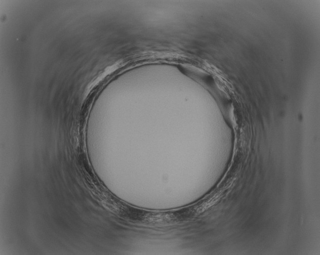 X0000087321165200705181004