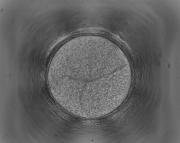 X0000087321166200705181004