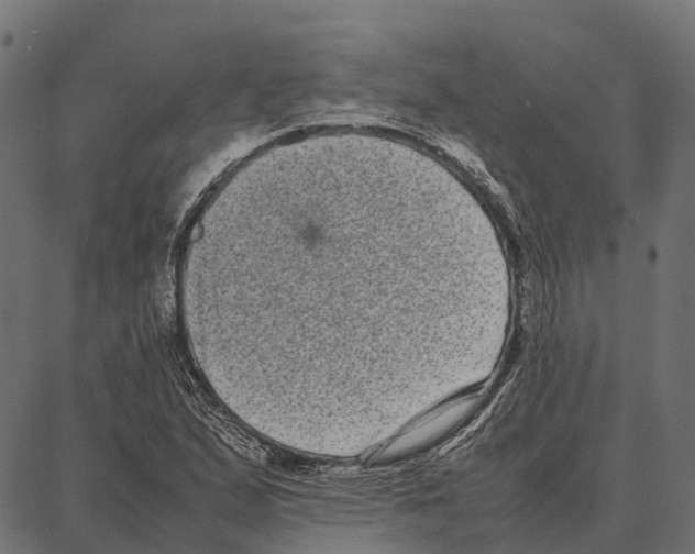 X0000087321167200705181004