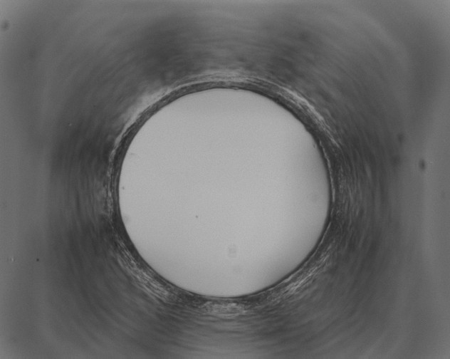 X0000087321168200705181004