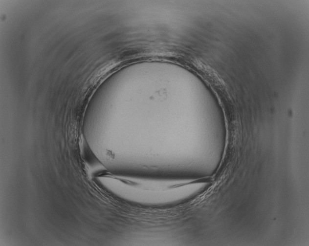 X0000087321169200705181003