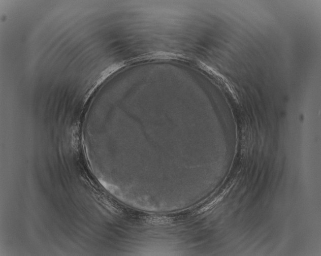 X0000087321170200705181003