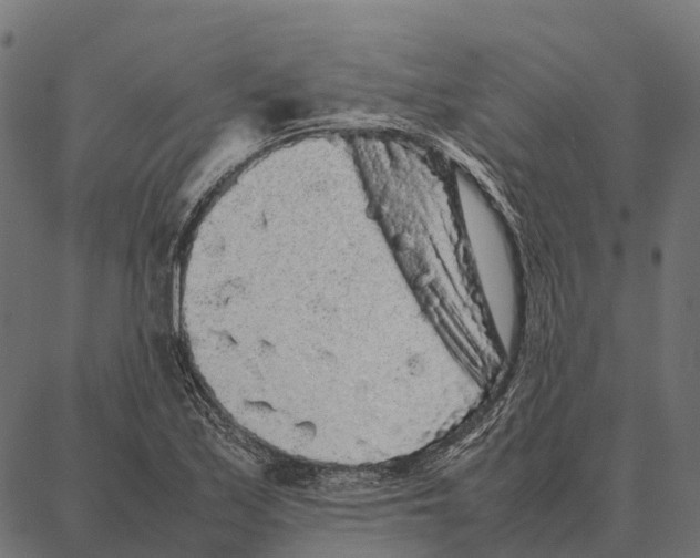 X0000087321171200705181003