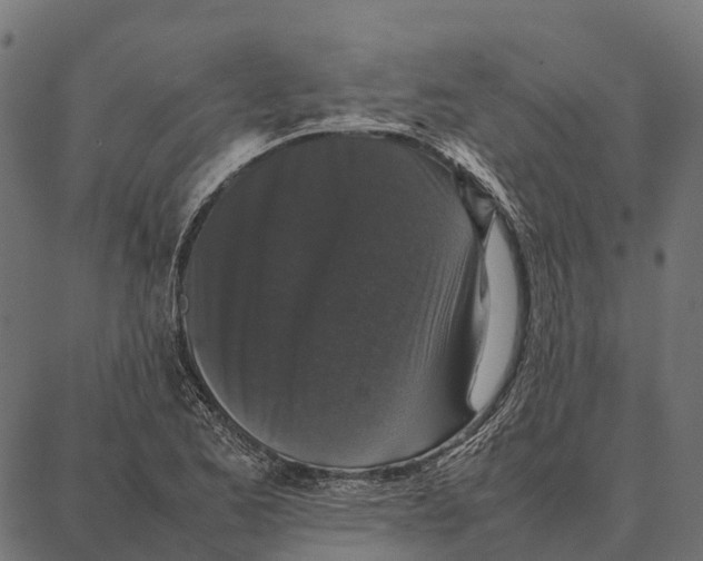 X0000087321173200705181003