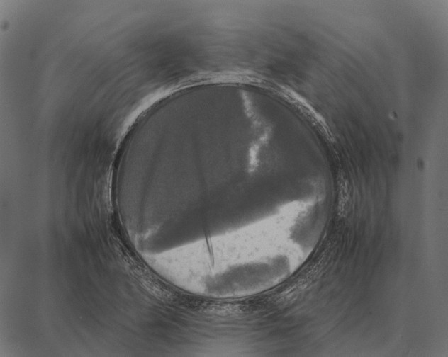 X0000087321174200705181003