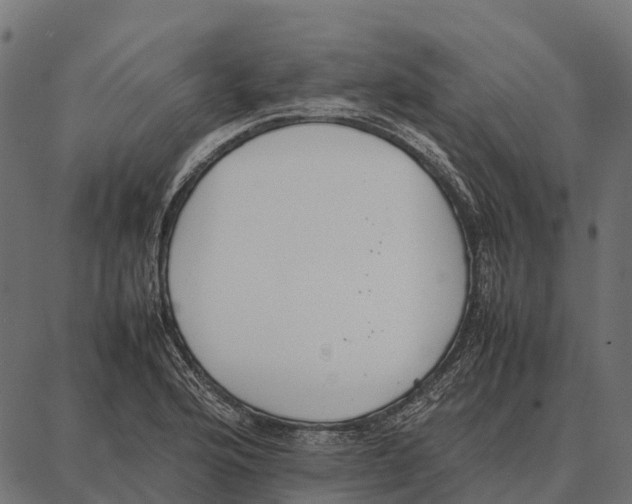 X0000087321176200705181003