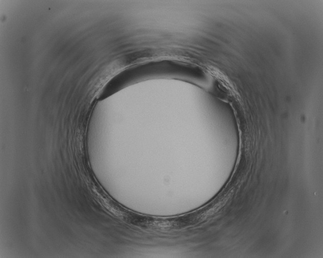 X0000087321177200705181003