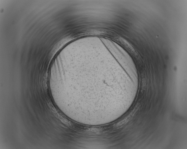 X0000087321178200705181003