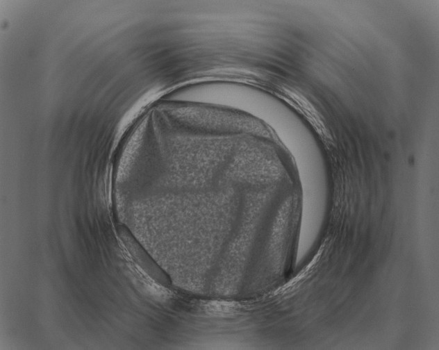 X0000087321180200705181003