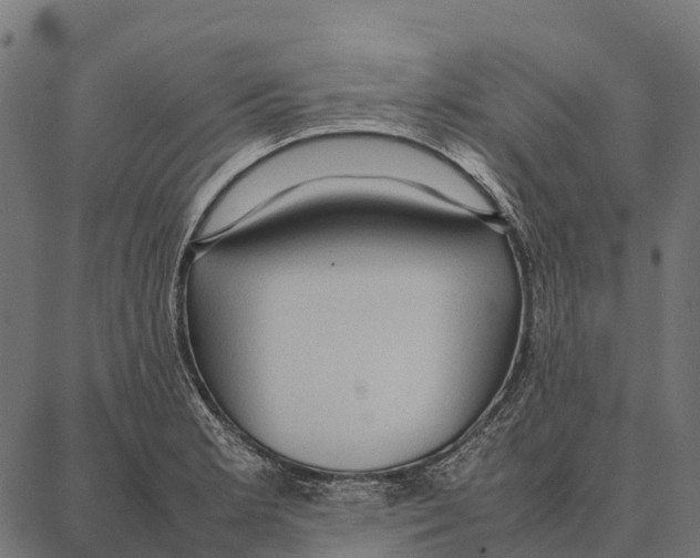 X0000087321181200705181003