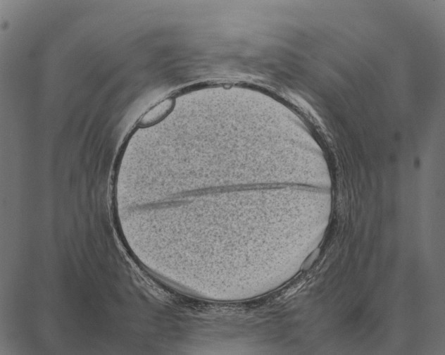 X0000087321183200705181003