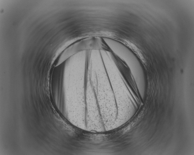 X0000087321184200705181003