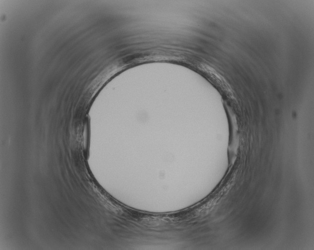 X0000087321185200705181003