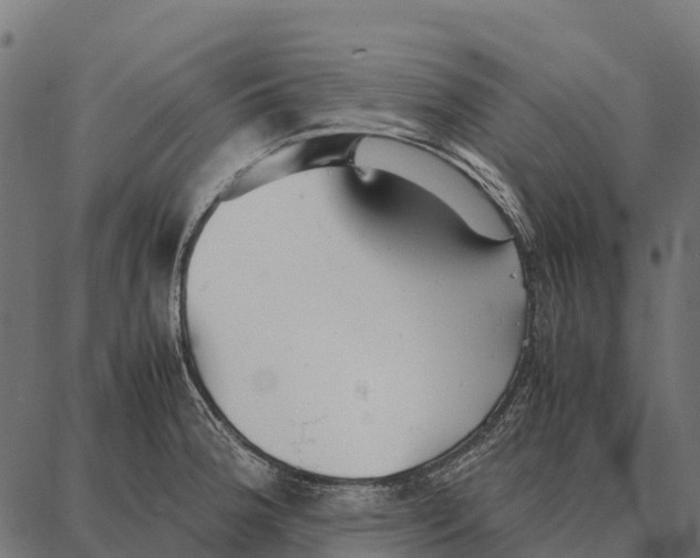 X0000087321188200705181003