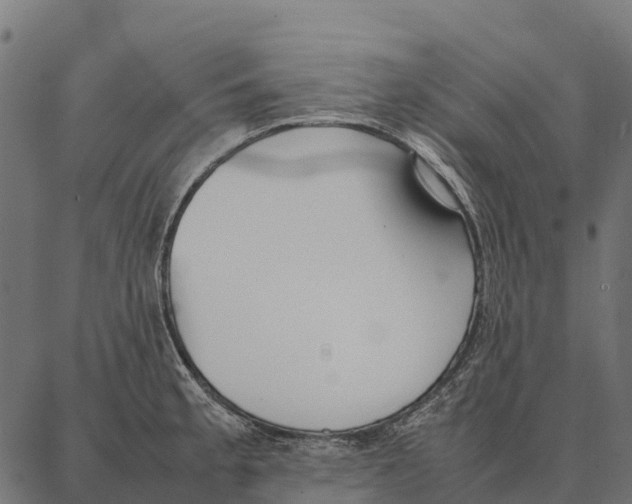 X0000087321189200705181003