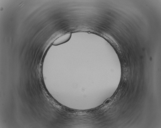 X0000087321190200705181003