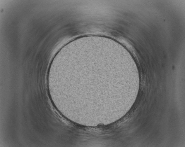 X0000087321191200705181003