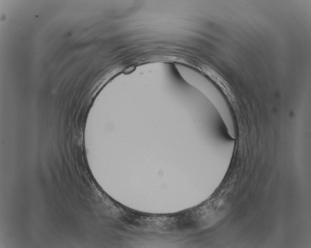 X0000087321193200705181003