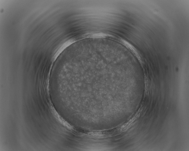 X0000087321194200705181003