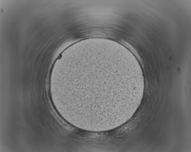 X0000087321195200705181003