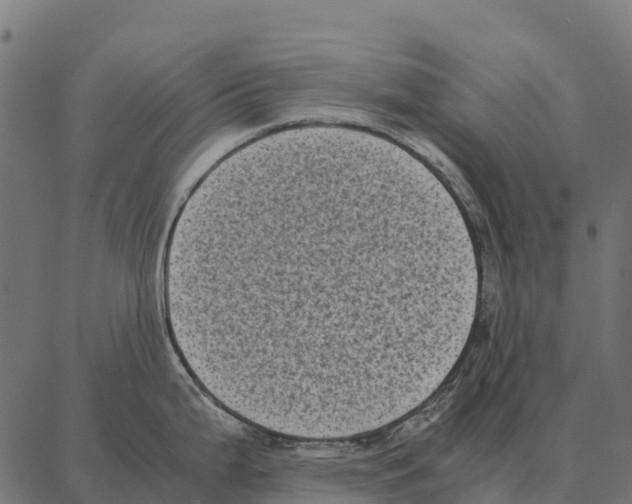 X0000087321199200705181003