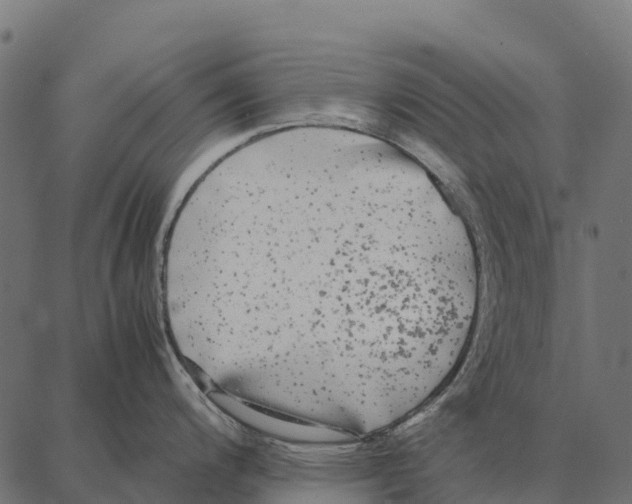 X0000087321200200705181003