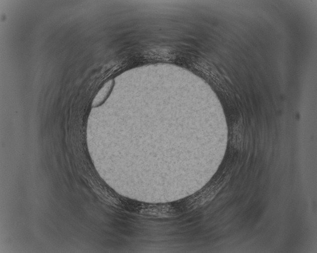 X0000087321201200705181002