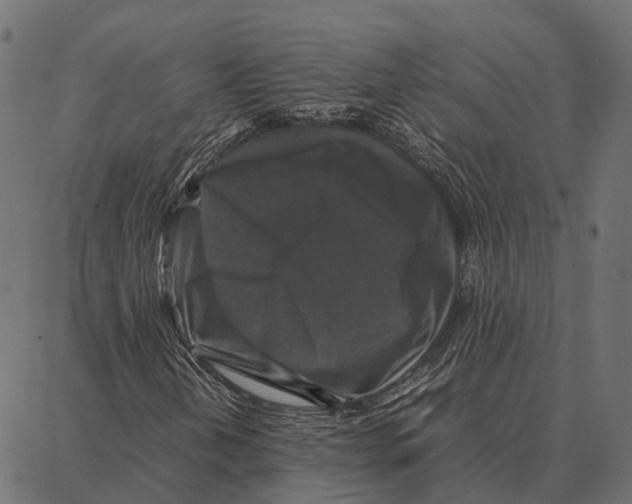 X0000087321202200705181002