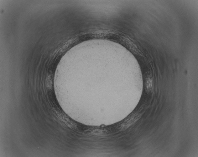 X0000087321204200705181002