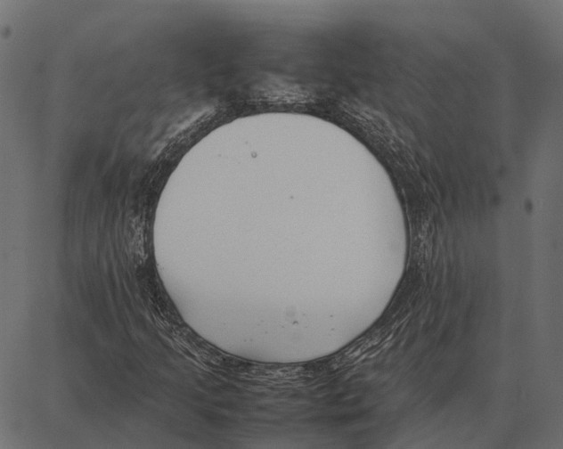 X0000087321205200705181002