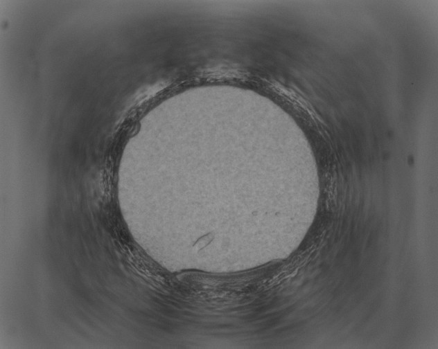 X0000087321207200705181002