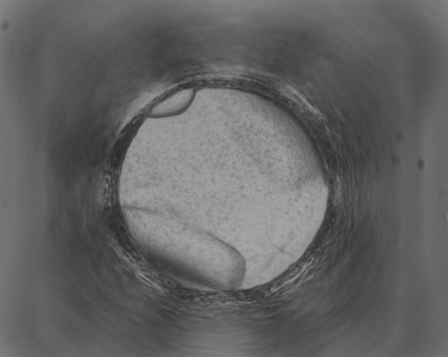 X0000087321208200705181002