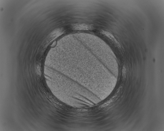 X0000087321209200705181002