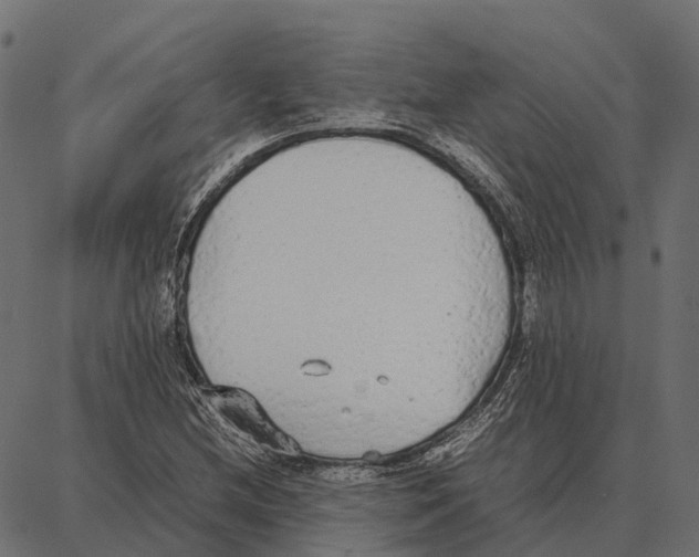 X0000087321212200705181002